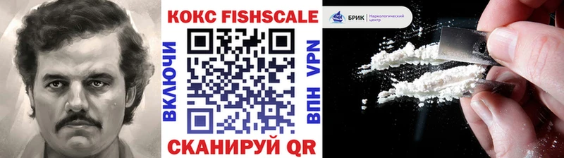 ссылка на мегу онион  Нерчинск  Cocaine FishScale 