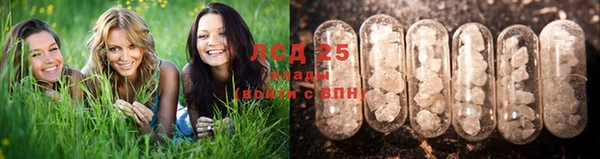 МДПВ Лиски